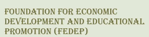 Foundation for Economic Development and Educational Promotion (FEDEP)